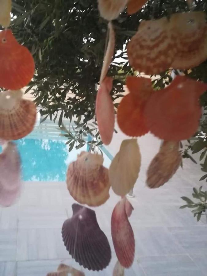 Dreamcatcher Vlachata Eksteriør billede